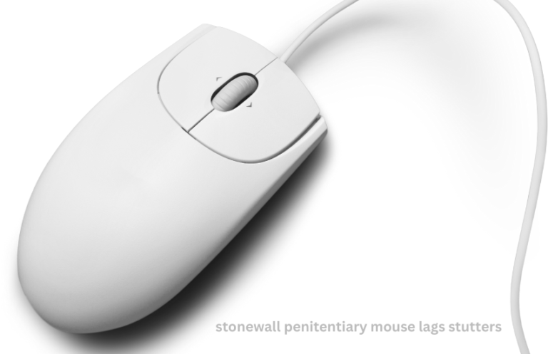 stonewall penitentiary mouse lags stutters